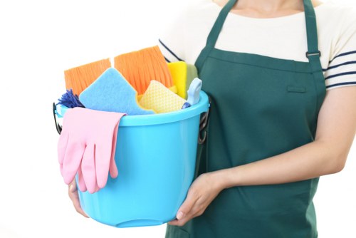 Local sofa cleaning service for a modern living room