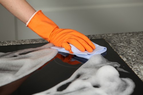 Professional pet stain odour removal on a carpet in New Southgate