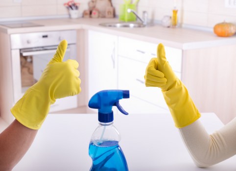 Professional carpet cleaning in a New Southgate home