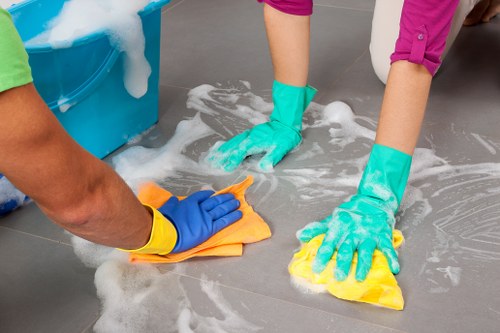Deep treatment for cat urine stains and smells in New Southgate