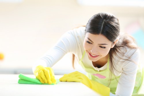 Common household stains and cleaning solutions in New Southgate